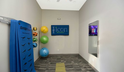 Icon Waverly gym